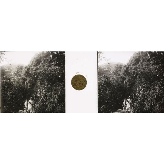 Fort Voiron vu du sentier de la Reine. [légende d'origine]