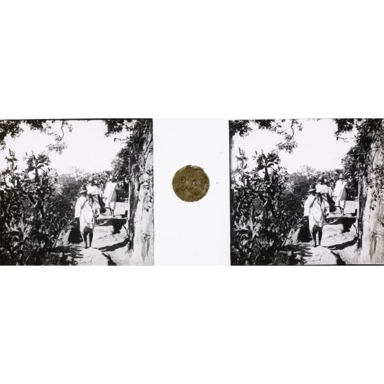 Le palais de la Reine. [légende d'origine]