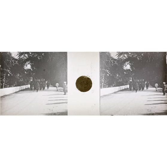 Zanzibar. Musique du Sultan. [légende d'origine]