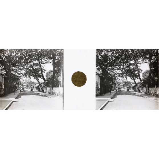 Rue du Commerce à Tamatave. [légende d'origine]