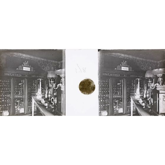 Vitrines. [légende d'origine]