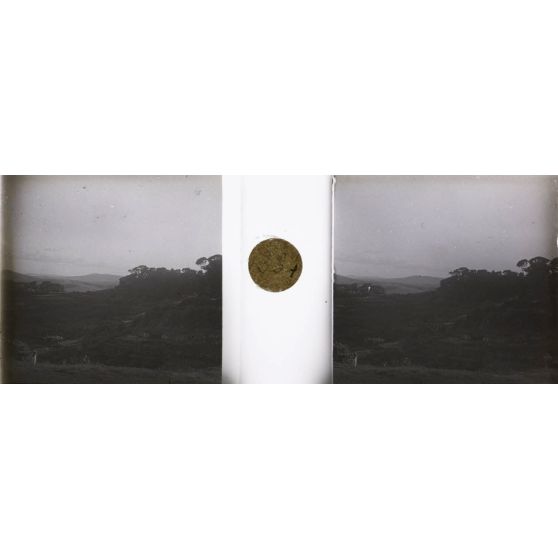 Paysage de Madagascar. [légende d'origine]