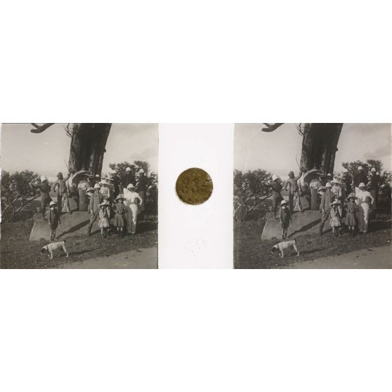 Au pied d'un arbre. [légende d'origine]