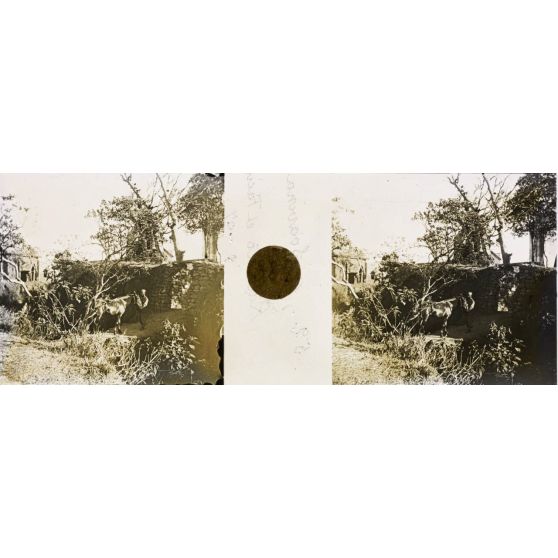 Passage du fossé. [légende d'origine]