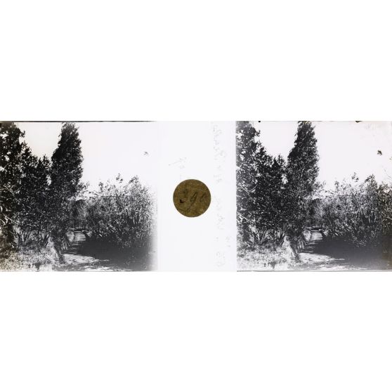 Chez master Peake. [légende d'origine]