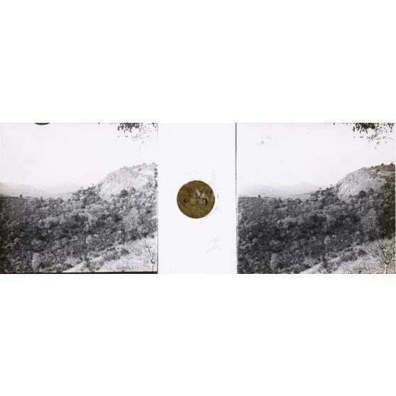 Près d'Alarobia. [légende d'origine]