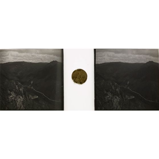 Route de Manjakandriana vue de l'Angave. [légende d'origine]