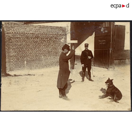 [Manoeuvres militaires à Choisy-le-Roi en 1908. Chien au dressage].