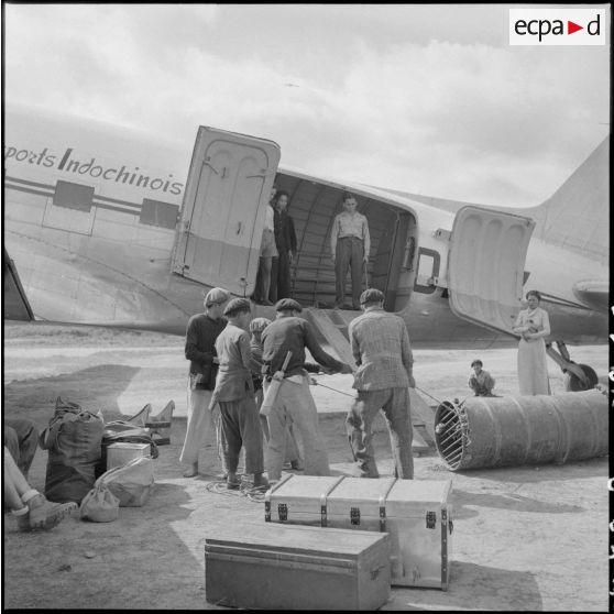 Embarquement d'animaux sauvages pour leur  transport par avion vers Hanoï.