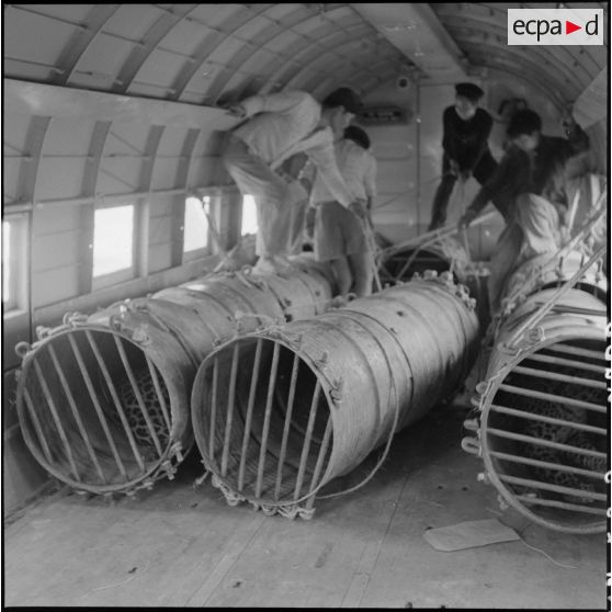 Les cages d'animaux sauvages dans la carlingue de l'avion avant le départ vers Hanoï.