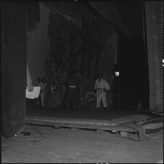 Démonstration de sports de combat au théâtre municipal d'Hanoï.