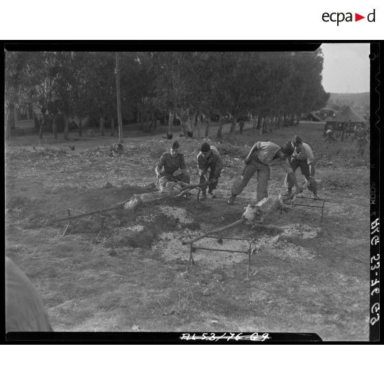 Cérémonie d'adieux à l'étendard du Train en Algérie.