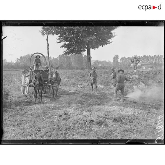 Houdelaincourt (Meuse). Camp américain. Voiture apportant les ordures ménagères. [légende d'origine]