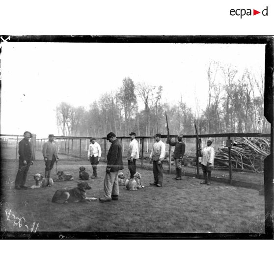 Bourg-la-Reine. Chenil militaire. Les chiens écoutent les dresseurs. [légende d'origine]