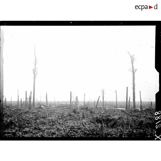 Une vue du  Saint Jansbeck près du bois de Draeibank. [légende d'origine]