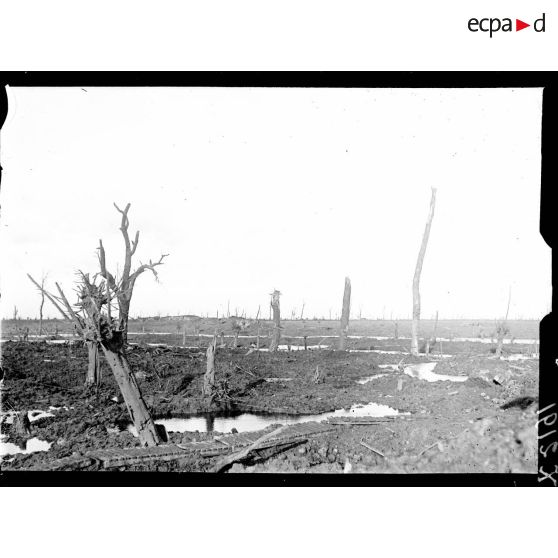 Les environs de la passerelle de Draeibank déruits. [légende d'origine]