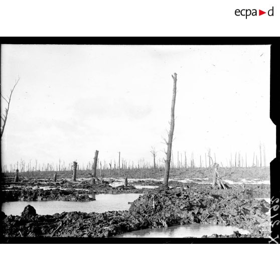 Le Saint Jansbeck près de Draeibank. [légende d'origine]