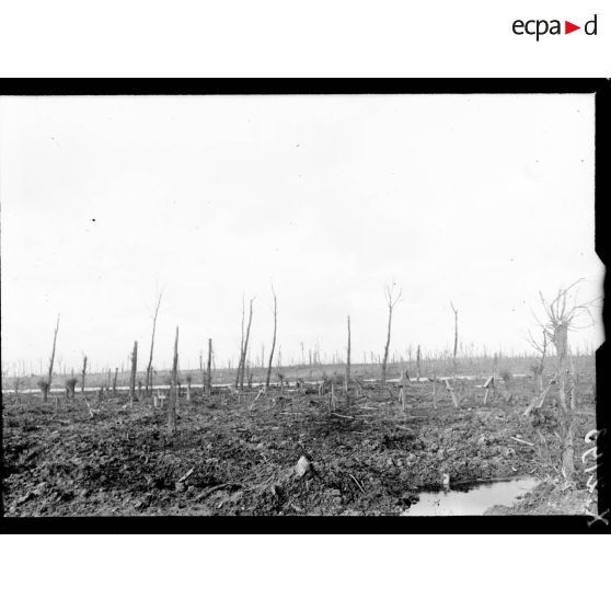 Un cimetière allemand près du Saint Jansbeck. [légende d'origine]