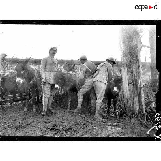 Des ânes de ravitaillement près du Saint Jansbeck. [légende d'origine]