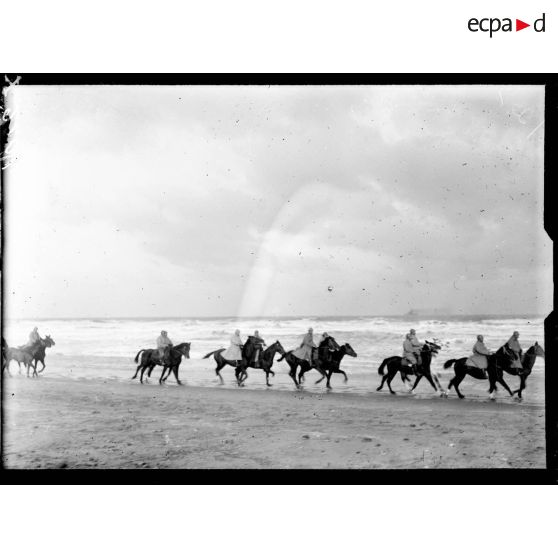 La baignade des chevaux sur la plage de Malo-les-Bains. [légende d'origine]