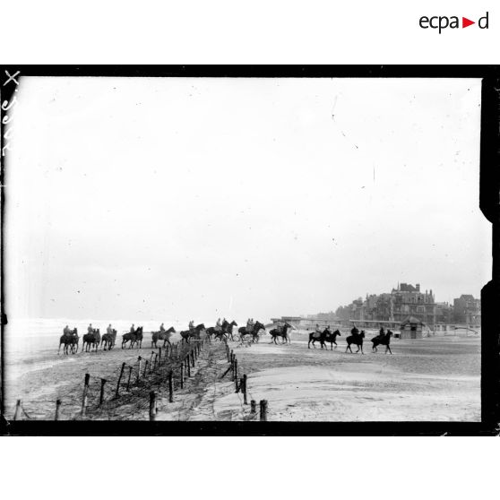 Sur la plage de Malo-les-Bains, des chevaux reviennent de leur baignade. [légende d'origine]