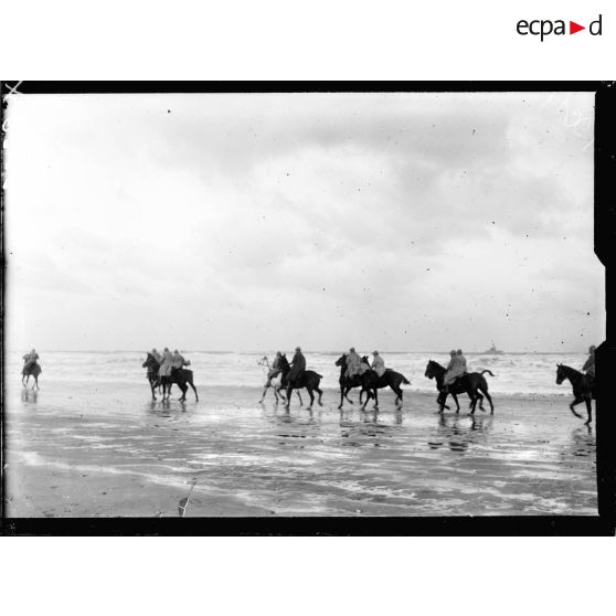 La baignade des chevaux sur la plage de Malo-les-Bains. [légende d'origine]