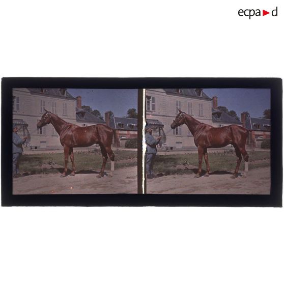 Scholl 1918. [légende d'origine]