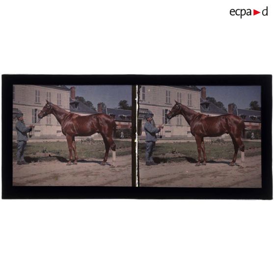 Scholl 1918. [légende d'origine]