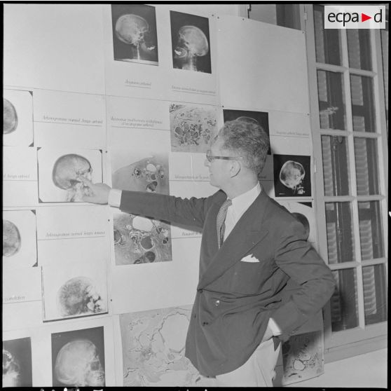 M. Boudin, professeur en neurochirurgie, commente un panneau d'une exposition scientifique ayant lieu à l'université d'Hanoï.