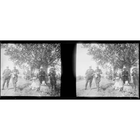 [Portrait de groupe d'officiers]