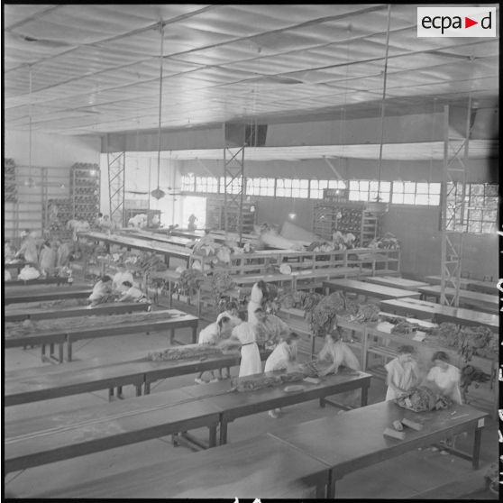 BAPN (Base aéroportée nord).