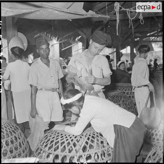 Le cuisinier de la garnison d'Hanoï fait son choix de volailles au grand marché d'Hanoï.	