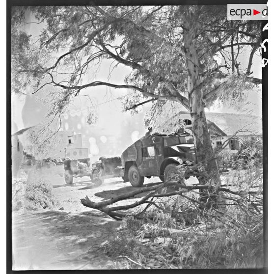 Montée en ligne d'un convoi de tracteurs d'artillerie Morris C8 d'une unité du Commonwealth dans la région de Zaghouan.
