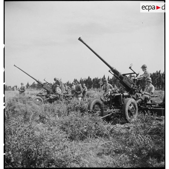 Lors d'une école à feu du 411e RAAA  (régiment d'artillerie antiaérienne) de la DMC (division de marche de Constantine), deux canons de 40 mm Bofors sont mis en batterie.