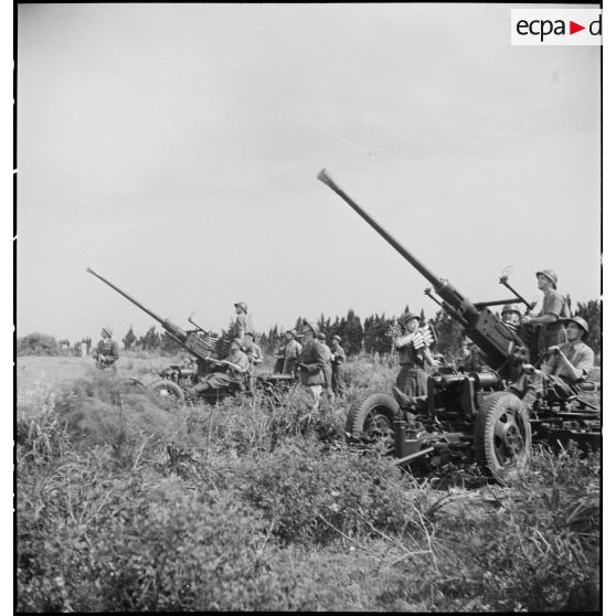 Lors d'une école à feu du 411e RAAA  (régiment d'artillerie antiaérienne) de la DMC (division de marche de Constantine), deux canons de 40 mm Bofors sont mis en batterie.