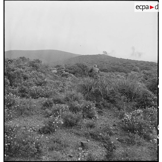 Au cours d'une manoeuvre d'infanterie, des élèves de l'école des élèves aspirants ou CIEO (Centre d'instruction des élèves officiers) de Cherchell se dissimulent derrière des buissons afin d'observer une explosion.