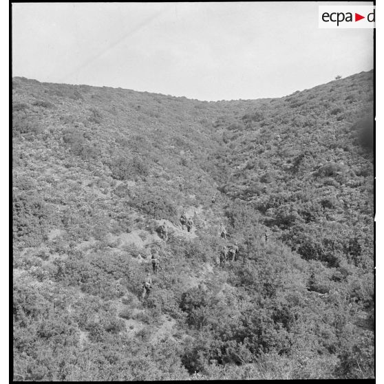 Des élèves aspirants de l'école des élèves aspirants ou CIEO (Centre d'instruction des élèves officiers) de Cherchell progressent au cours d'une manoeuvre d'infanterie.