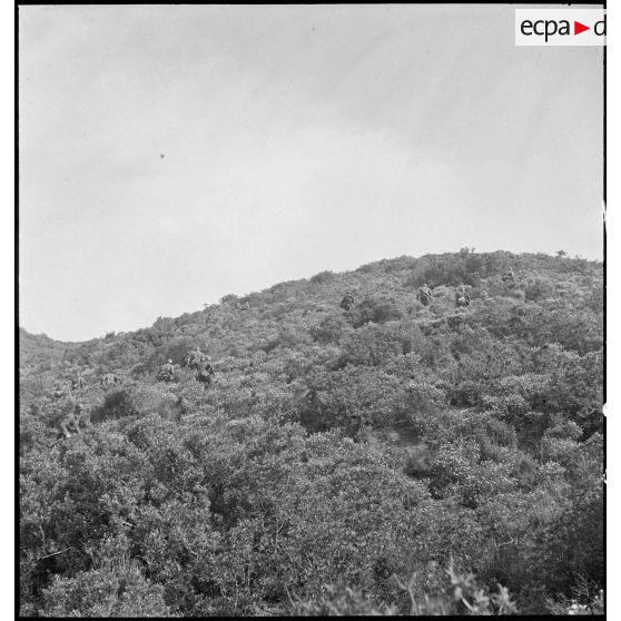 Des élèves aspirants de l'école des élèves aspirants ou CIEO (Centre d'instruction des élèves officiers) de Cherchell progressent au cours d'une manoeuvre d'infanterie.