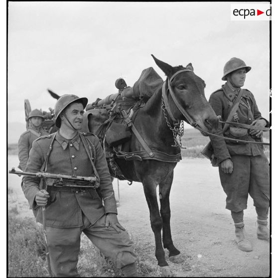 Artilleurs du 67e RAA (régiment d'artillerie d'Afrique) de la DMC (division de marche de Constantine) et leurs mulets bâtés de pièces et d'un canon de montagne de 65 mm, modèle 1906, dans le secteur d'Ousseltia.