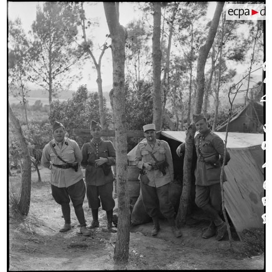 Portrait de groupe de sous-officiers du XIXe corps d'armée dans leur campement en Tunisie.