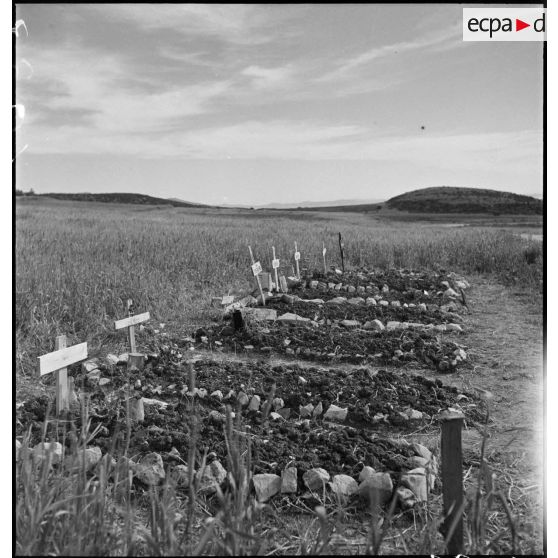 Aux environs de Bizerte, ciimetière provisoire de soldats allemands, morts au combat lors de la campagne de Tunisie.<br>Certains patronymes sont lisibles sur les croix : caporal-chef (Obergefreiter) Walfried Schiffer, mort le 6 janvier 1943, soldat grenadier (Grenadier) Franz Bergen, tombé le 5 janvier 1943 et Hubert Berg, mort en 1943.