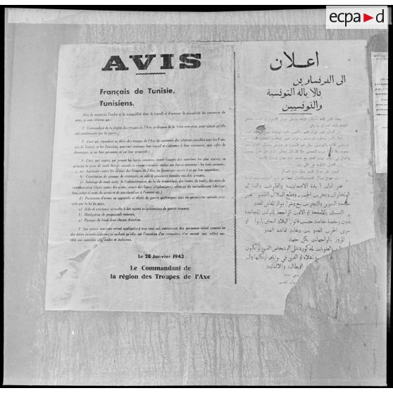 Affiche du général Walther Nehring, commandant en chef des troupes de l'Axe pour la Tunisie, informant les civils de Bizerte des sanctions qu'ils encourent en cas de collaboration avec les Alliés.
