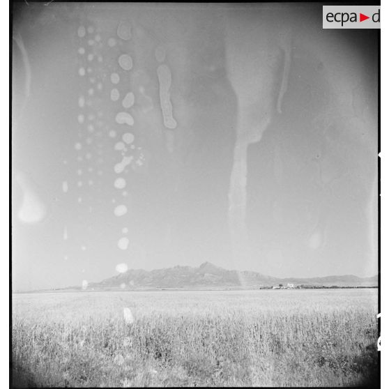 Le djebel Zaghouan, au sud de la ville.