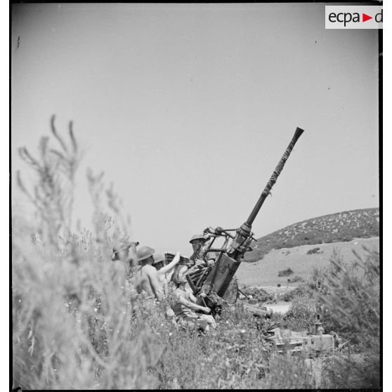 Mise en batterie d'un canon de 40 mm Bofors CA (contre avions) par des soldats du Commonwealth dans la région de Zaghouan.