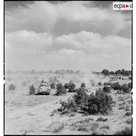 Un char Sherman M4 progresse lors d'une manoeuvre d'entraînement dans le Sud algérien, en vue de l'engagement de l'unité en Italie au sein du CEF (corps expéditionnaire français).