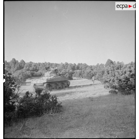 Un char Sherman M4 progresse lors d'une manoeuvre d'entraînement dans le Sud algérien, en vue de l'engagement de l'unité en Italie au sein du CEF (corps expéditionnaire français).