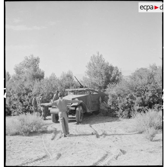 Camouflage d'un scout-car M3A1 du 3e RSAR (régiment de spahis algériens de reconnaissance) au cours d'une manoeuvre du CEF (corps expéditionnaire français) dans le Sud algérien.