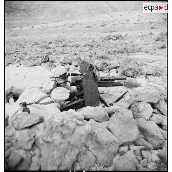 Mise en batterie d'un canon de 37 mm à tir rapide, modèle 1916, par des méharistes du groupement du capitaine Paganelli dans le secteur du FSEA (Front sud-est algérien), entre le col de Bir el Asker et le Chott el Jerid.