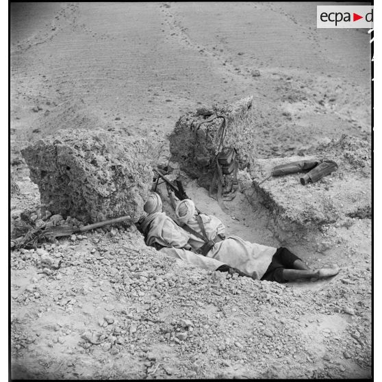 Méharistes du groupement du capitaine Paganelli servant un fusil-mitrailleur FM 24/29 dans le secteur du Chott el Jerid, sur le FSEA (Front sud-est algérien).