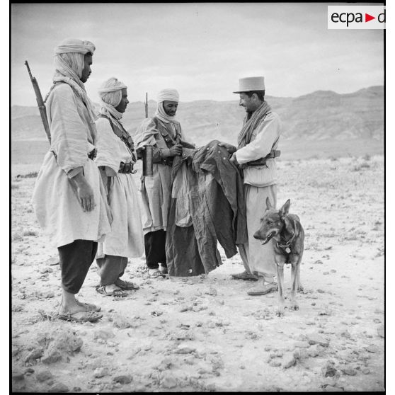 Des méharistes du groupement du capitaine Paganelli examinent un manteau italien dans le secteur du FSEA (Front sud-est algérien).
